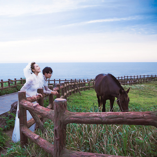 济州岛-涉地可支