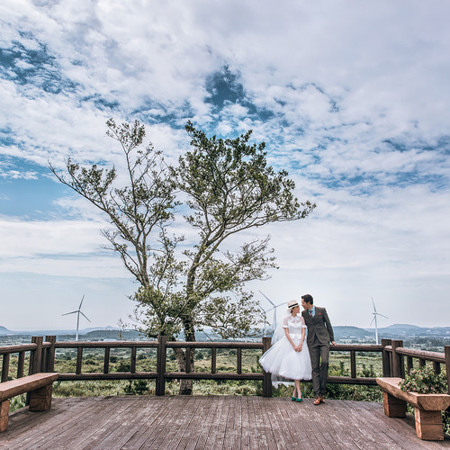 济州岛风车公园