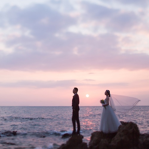 杨先生&张女士