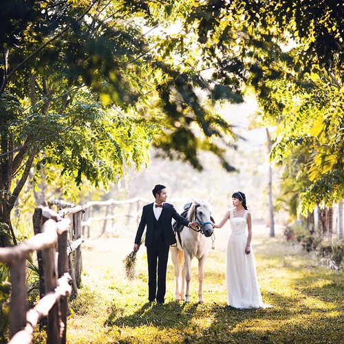 李先生&刘女士