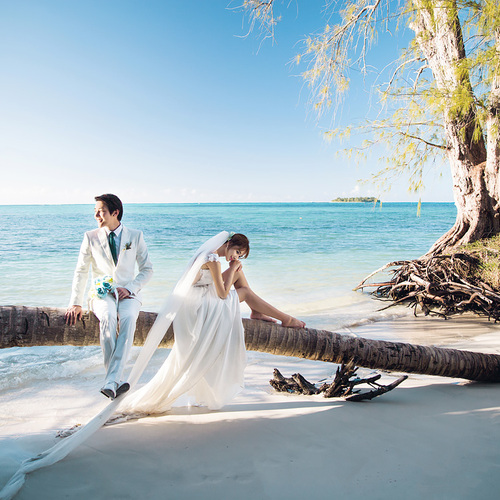 去海边穿梭鸟瞰