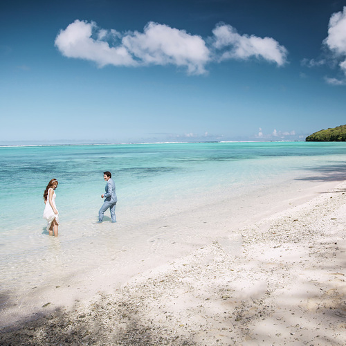 你的蓝和你的花