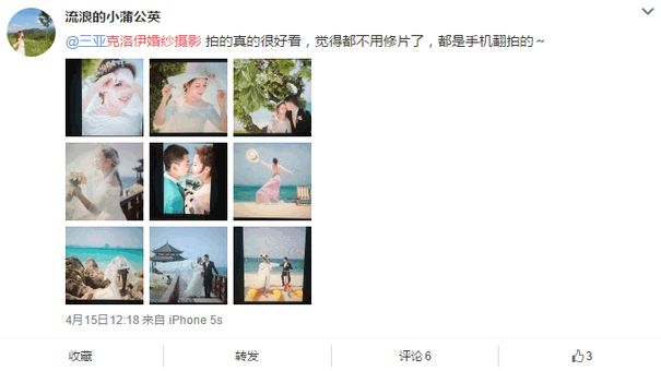 流浪的小蒲公英