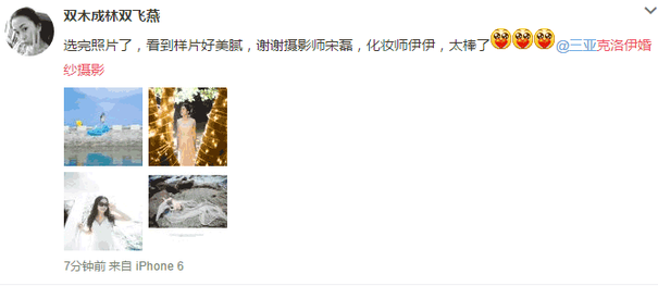 双木成林双飞燕