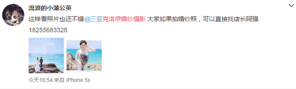 流浪的小蒲公英