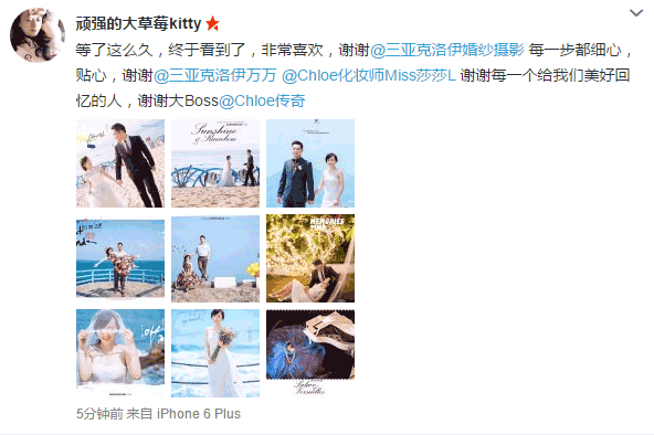 顽强的大草莓kitty