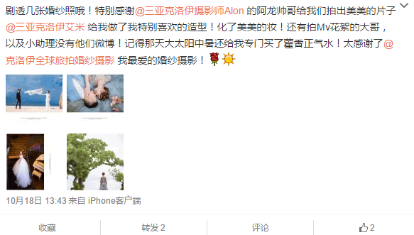 不会飞的小兔妞儿