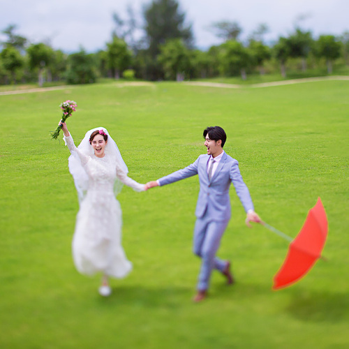 给我全世界的闪烁