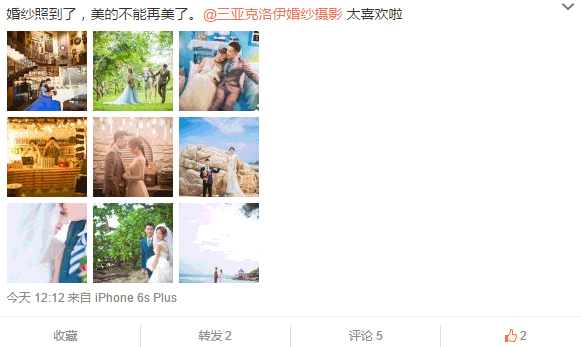 小小小雨的宠物店