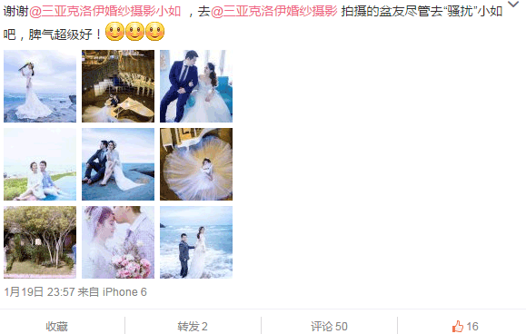 小小金牛张老师