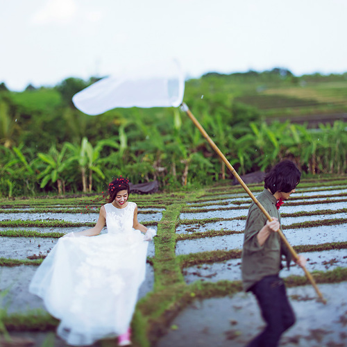 捕梦网里编织的诗
