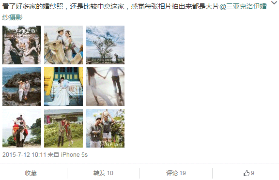  菲菲菲非常美丽的巨兔16138