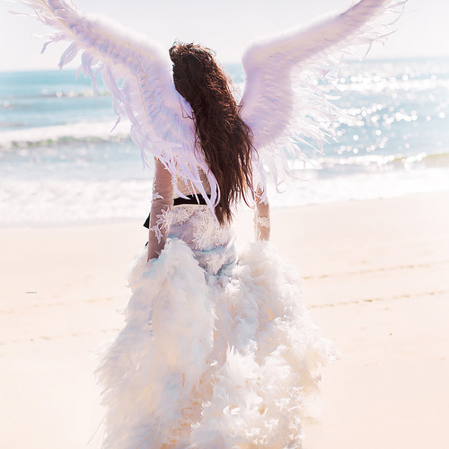 维多利亚的独白