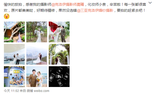 被咬了一口的菠萝-