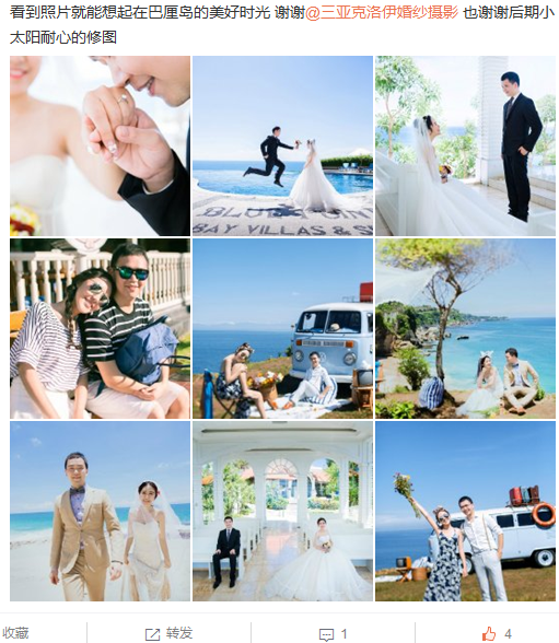 小猪的自言自语