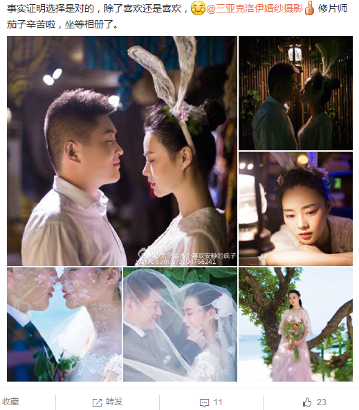 兔子樊是个喜欢安静的疯子