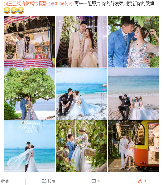 -爱吃辣椒的猫-