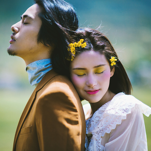 仲夏之梦，与花见