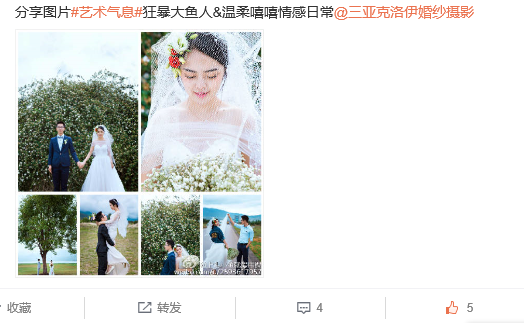 上头小鱼就爱甩锅