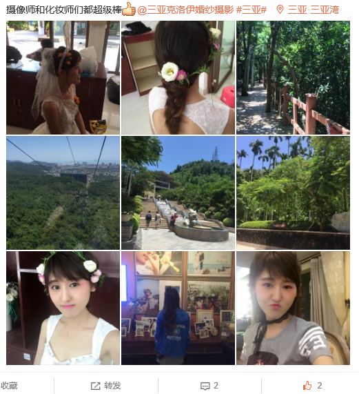 金牌旋风犬舍GOLD-TYPHOON