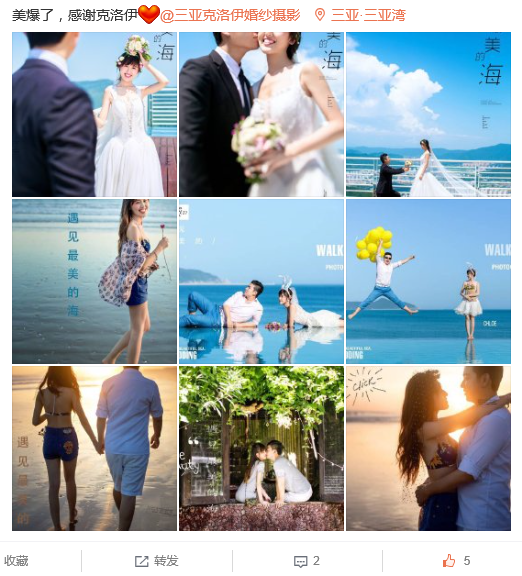 金牌旋风犬舍GOLD-TYPHOON