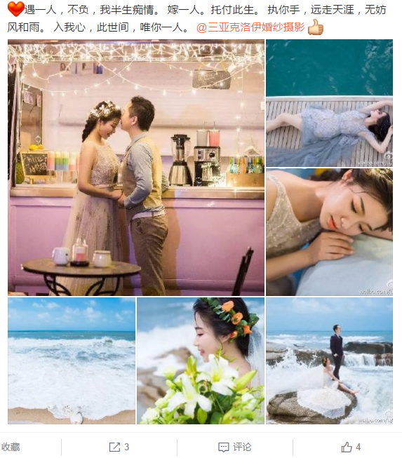 风中飘零的叶敬