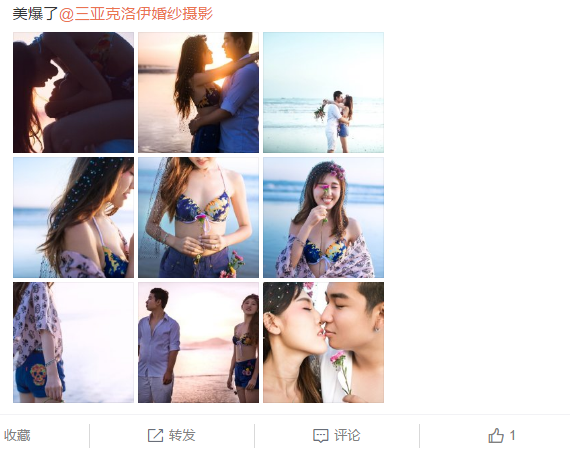 金牌旋风犬舍GOLD-TYPHOON