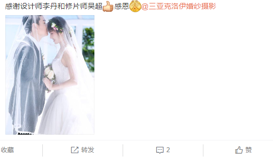 金牌旋风犬舍GOLD-TYPHOON