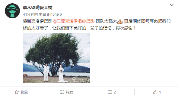 草木染哟爱大树