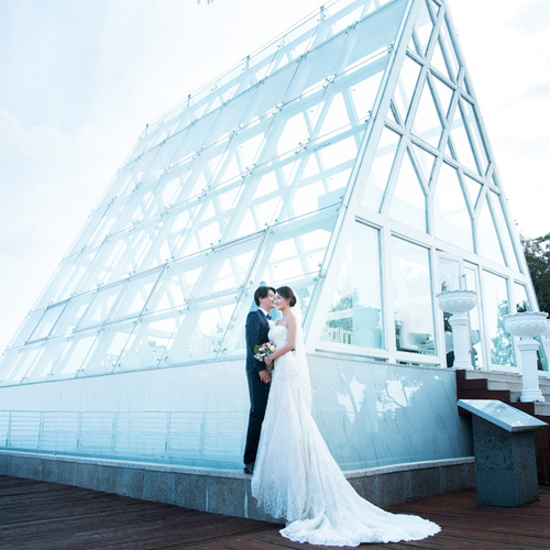 天堂坠落的嫁纱