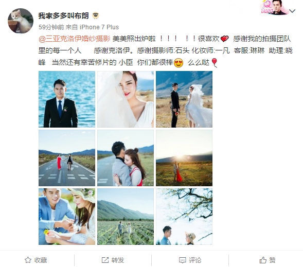 我家多多叫布朗