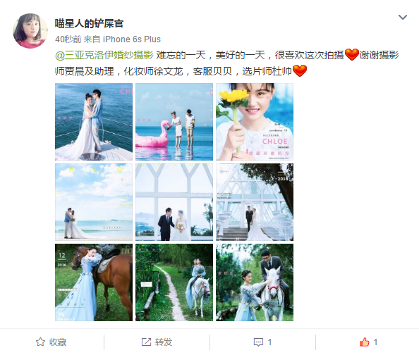 喵星人的铲屎官