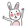 菠霓兔兔