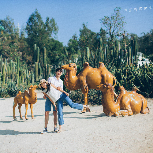 向阳生长的爱情