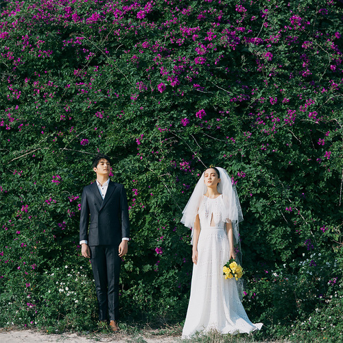 听风说爱的声音