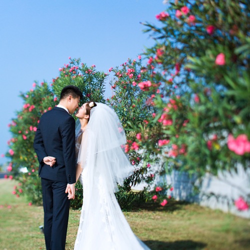苏先生&张女士