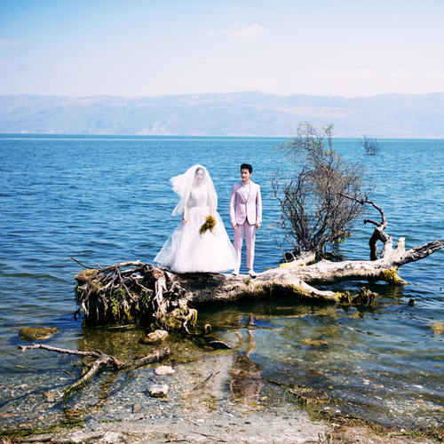 离春语,伴花听风眠