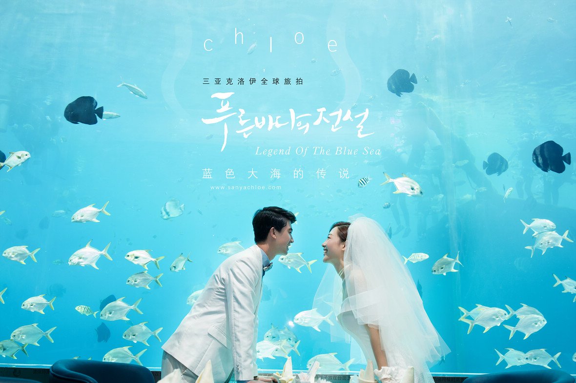 静待一树花开,盼你叶落归来