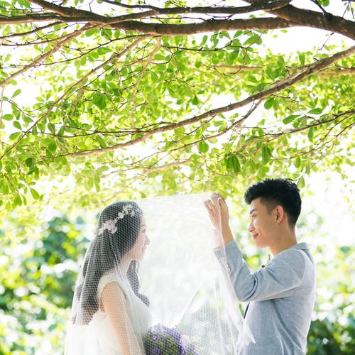 毛先生&马女士