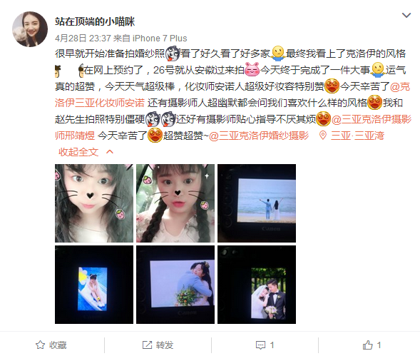 站在顶端的小喵咪