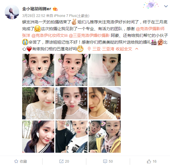 金小猪胡闹腾er 