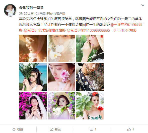 会化妆的一条鱼