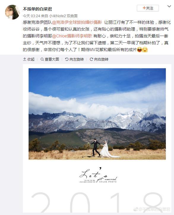 不孤单的白菜君