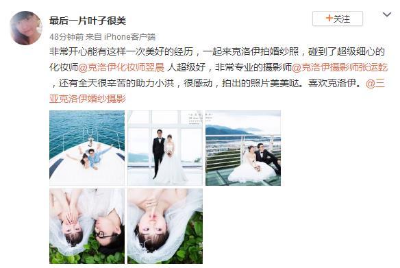 最后一片叶子很美