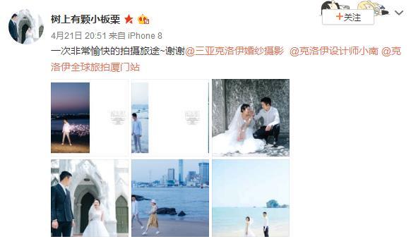 树上有颗小板栗