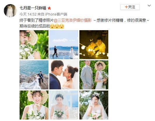 七月是一只胖喵