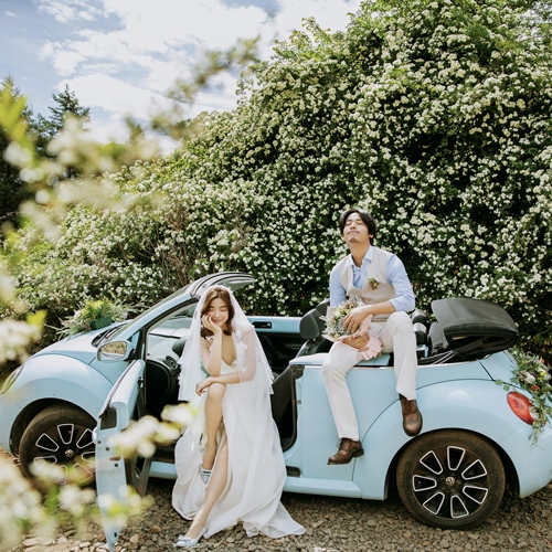 花期至，踏雨归