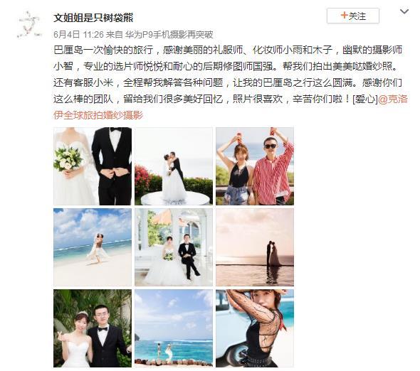 文姐姐是只树袋熊