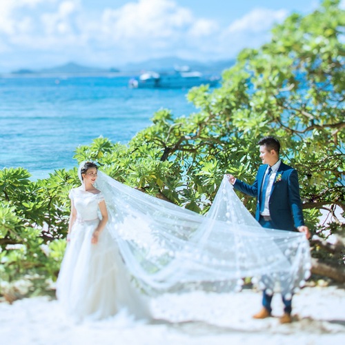 舒先生&湛女士