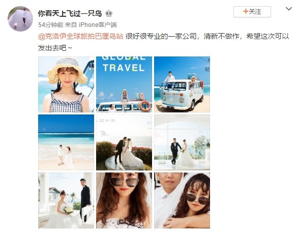 你看天上飞过一只鸟 